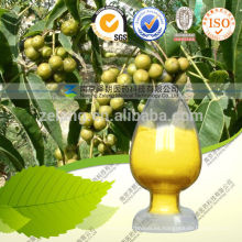 Berberis Aristata Sulphate Extract Powder